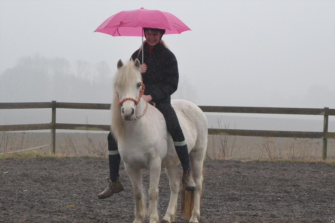 Anden særlig race Melissa ¤Min pige¤ - Du er unik! Mesterfotograf: mor billede 4