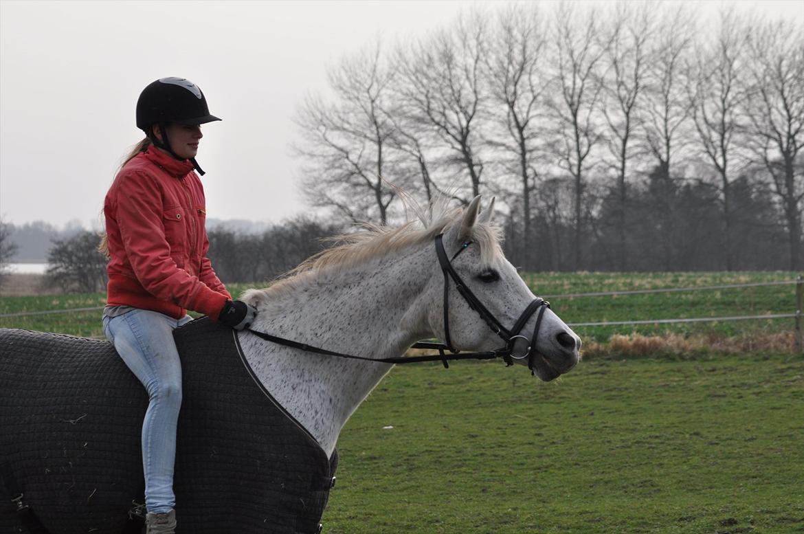 Arabisk fuldblod (OX) Bahia Blanca - To live in the hearts we leave behind, is not to die. I miss you... <3 billede 3