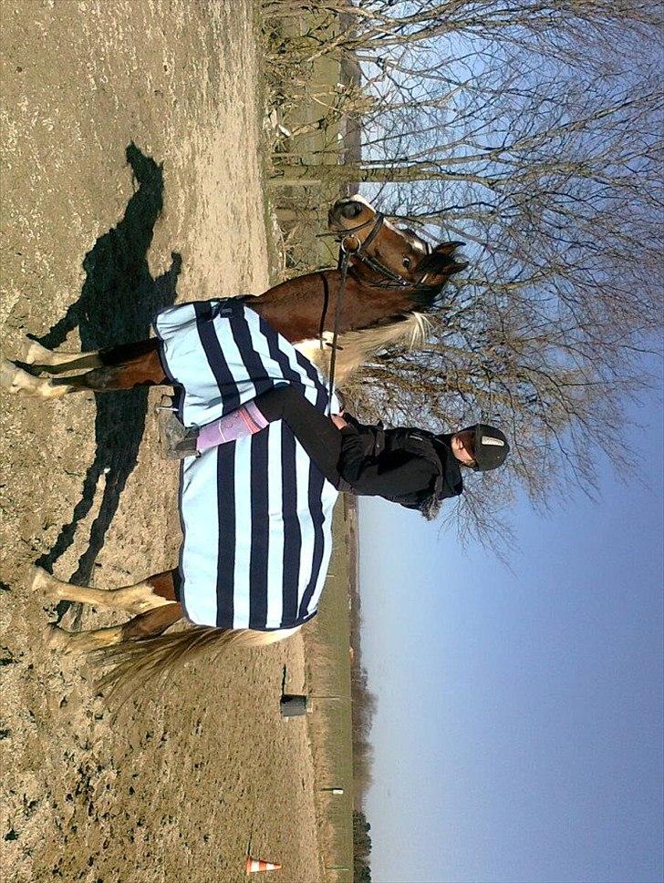 Pinto Araber Felix - felix og jeg, første ride-tur efter vi købte ham <3 billede 1