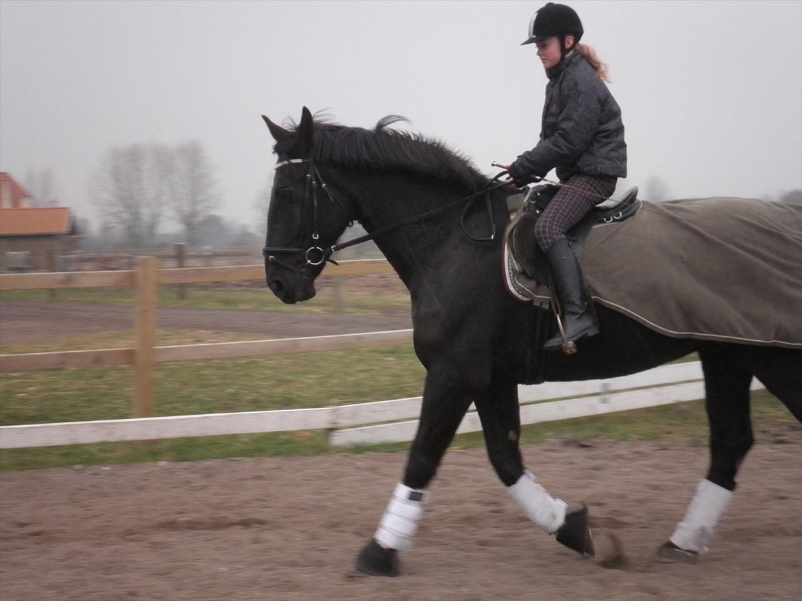 Oldenborg Buster  billede 10