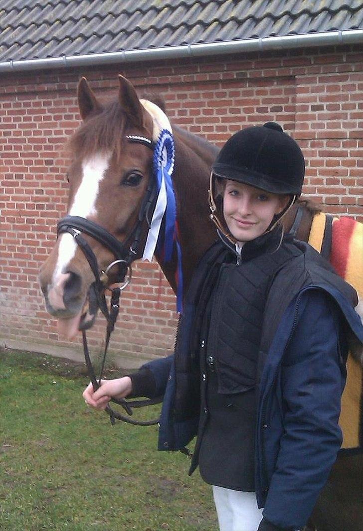 New Forest Orchid's Champer<3 solgt :'-( - Stævne i Skanderborg- midtjysk cup 2012.
ULC** 0 fejl, og trejde bedste tid!:D
LC** 0 fejl, og anden plads blev overgået med 1 milsekund :D billede 7