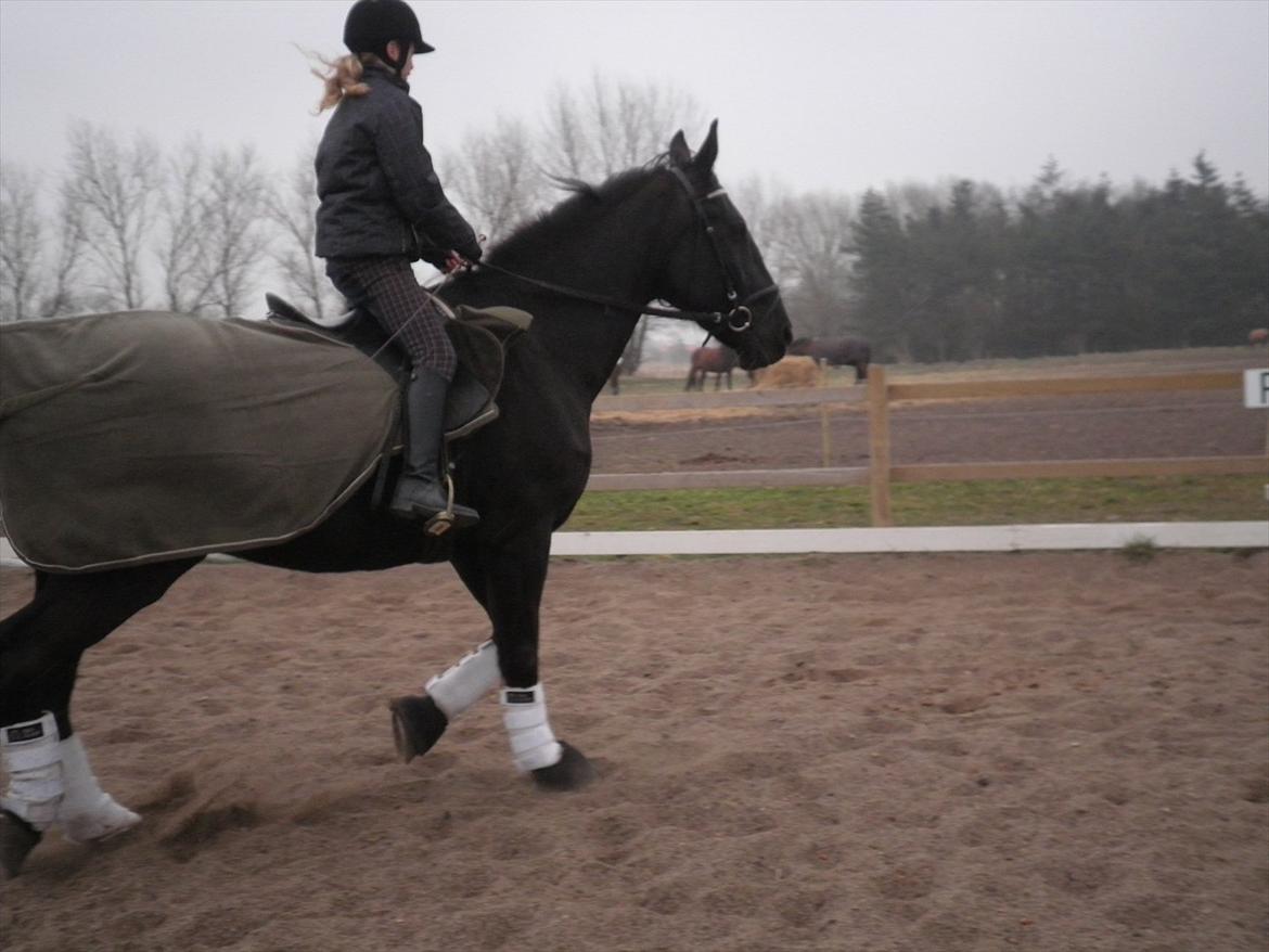 Oldenborg Buster  billede 12