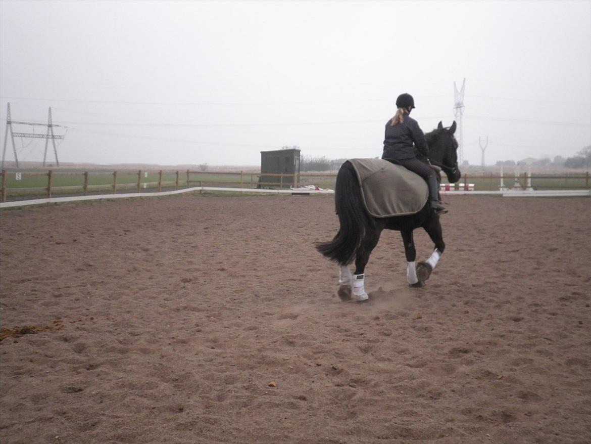 Oldenborg Buster  billede 15