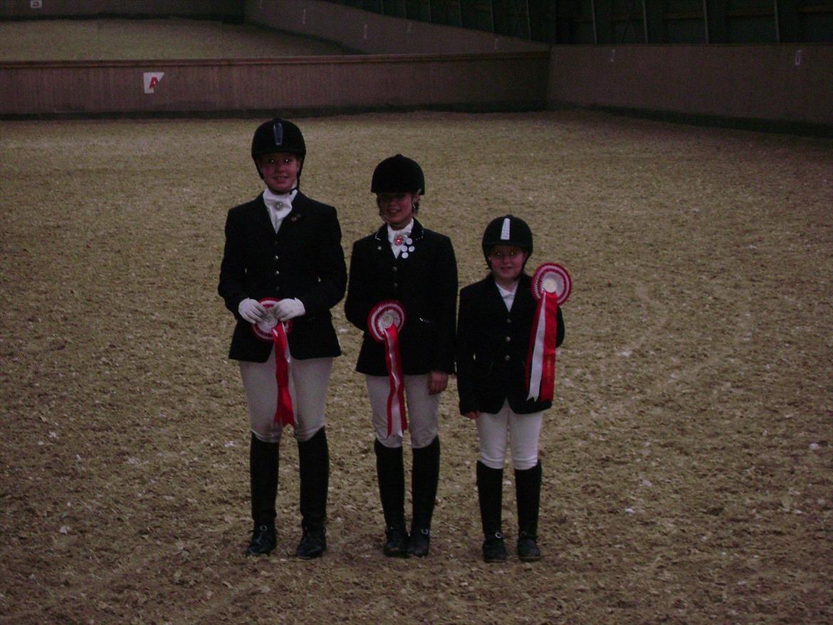 Dansk Varmblod Nørringsholms Play Red - Klubmester Dressur hest 2012, på min dejlige stjerne :D  billede 20