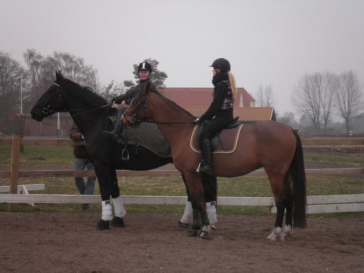 Oldenborg Buster  billede 16