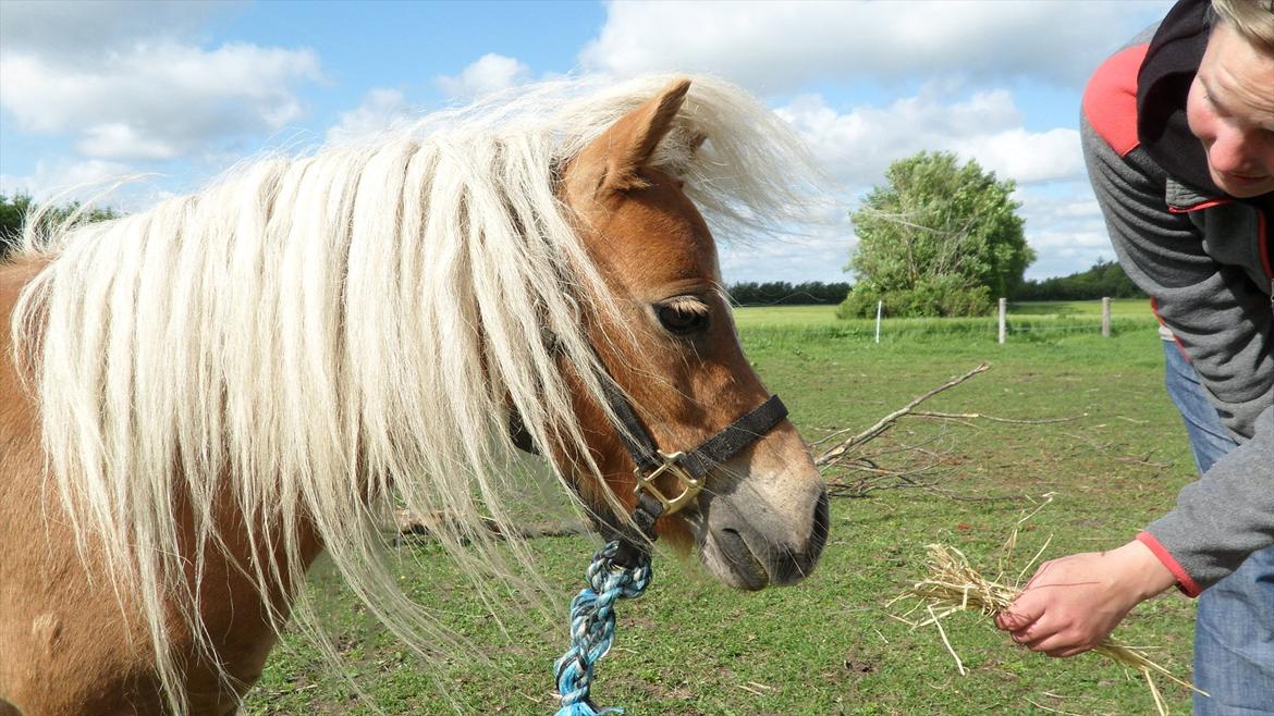 Miniature Puf billede 2