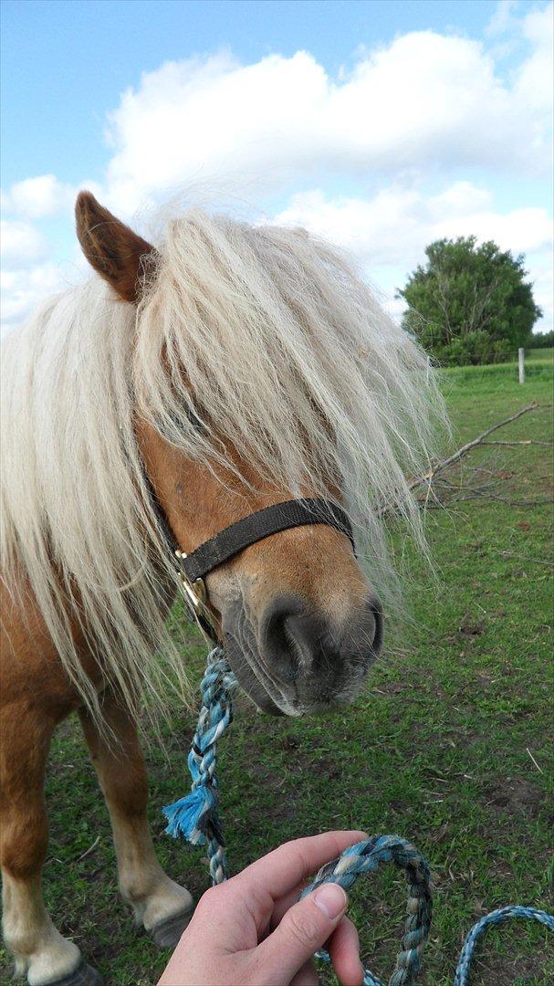 Miniature Puf billede 3