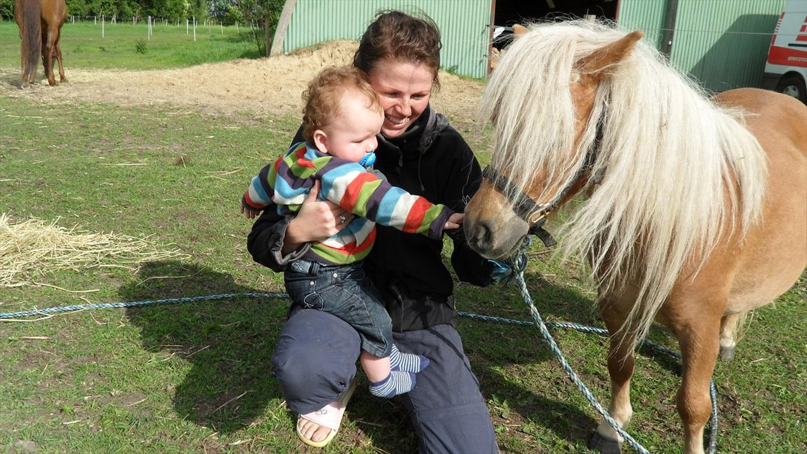 Miniature Puf billede 5