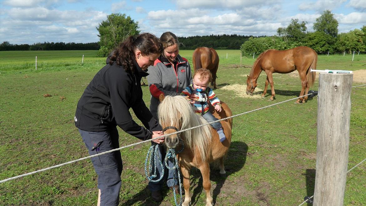 Miniature Puf billede 6