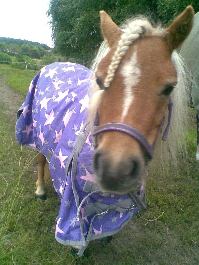 Miniature Puf billede 1