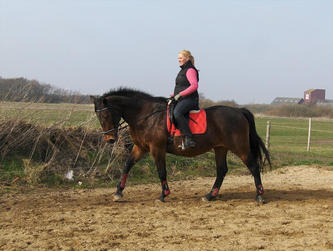 Oldenborg Lillegårdens Ami billede 4