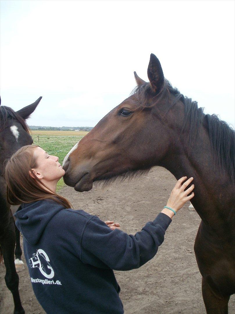 Anden særlig race Engbæks Lise-Lotte - Meget nysgerrig!  billede 6