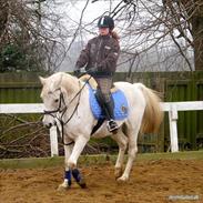 Anden særlig race færgedals pasteur ¤Min øjesten¤