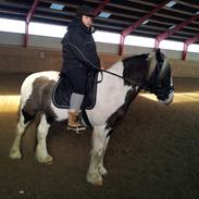 Tinker McCain af Englund