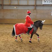 Anden særlig race Frydendals Casino *solgt*