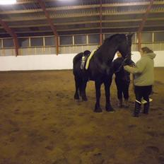 Frieser sietske van de sweach