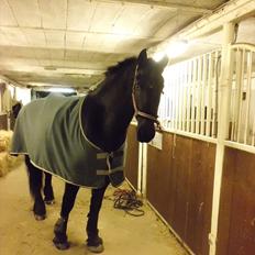 Frieser sietske van de sweach