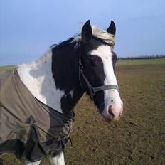 Tinker McCain af Englund