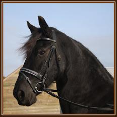 Frieser Sofie af Karmark