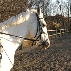 Anden særlig race * Cirkeline * # Min tøz # <3