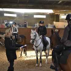 Anden særlig race Tarzan Undercover