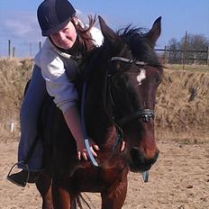 Standardbred En Bukse Frøkjær 