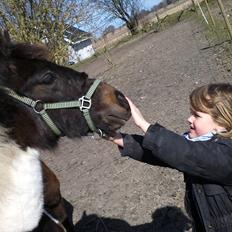 Anden særlig race Halkærhus My Loveland "My"