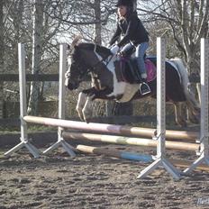 Anden særlig race Mille/ Jeg er desværre stoppet på mijn pige!!:(