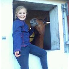 Anden særlig race Pepsi B