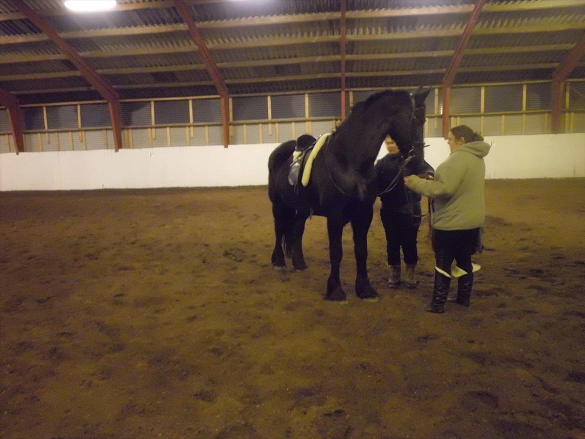 Frieser sietske van de sweach billede 2