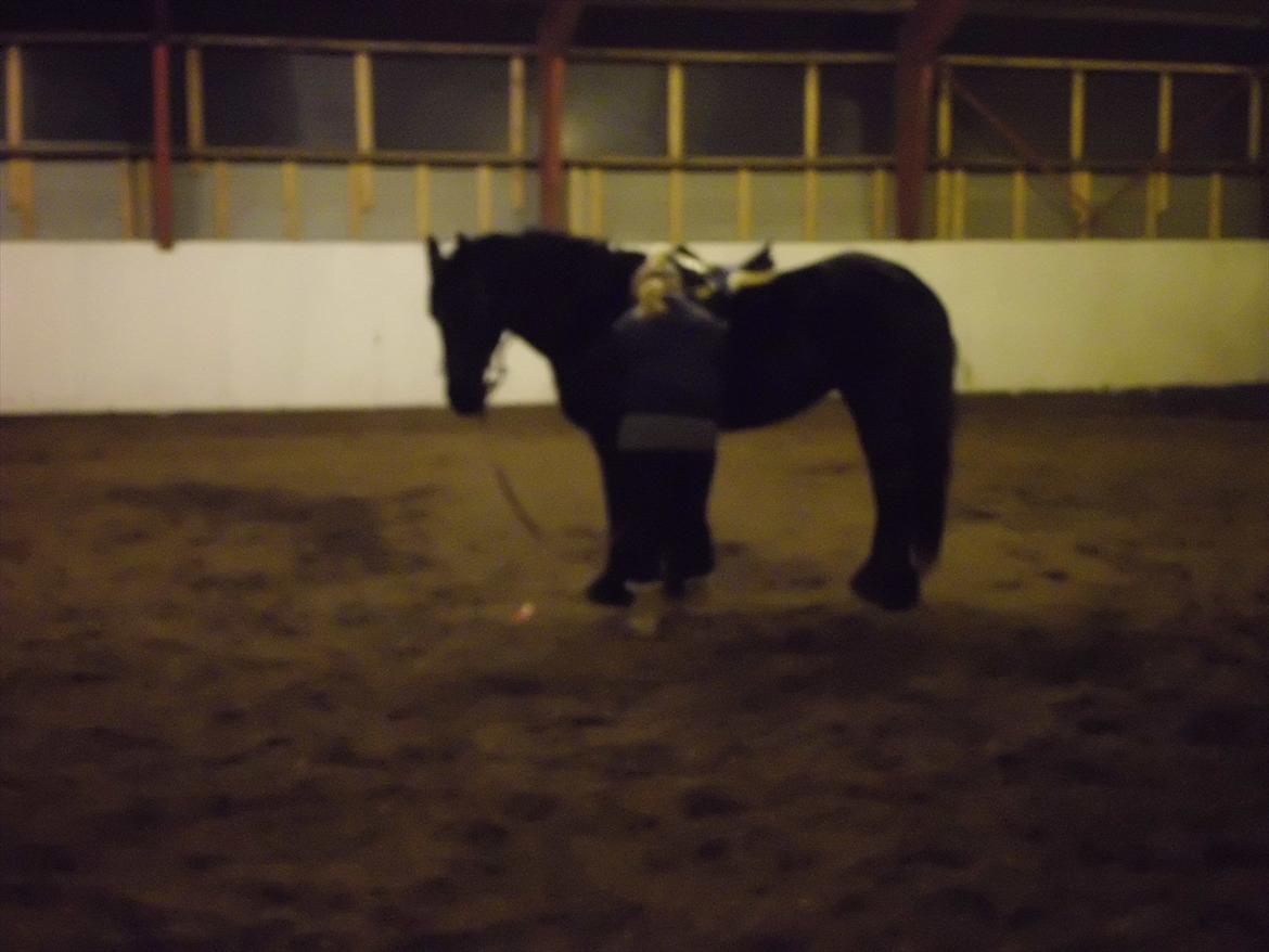 Frieser sietske van de sweach billede 4