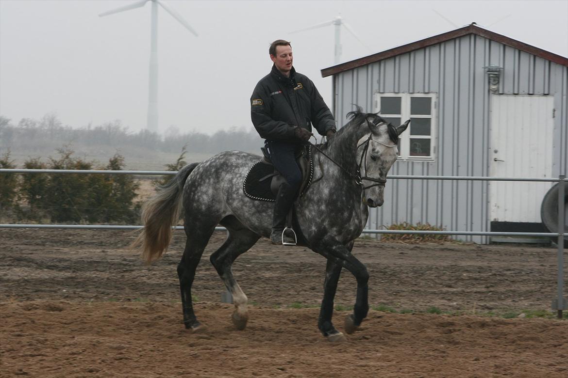 Holstener Bocello - Bocello Marts 2012 billede 14