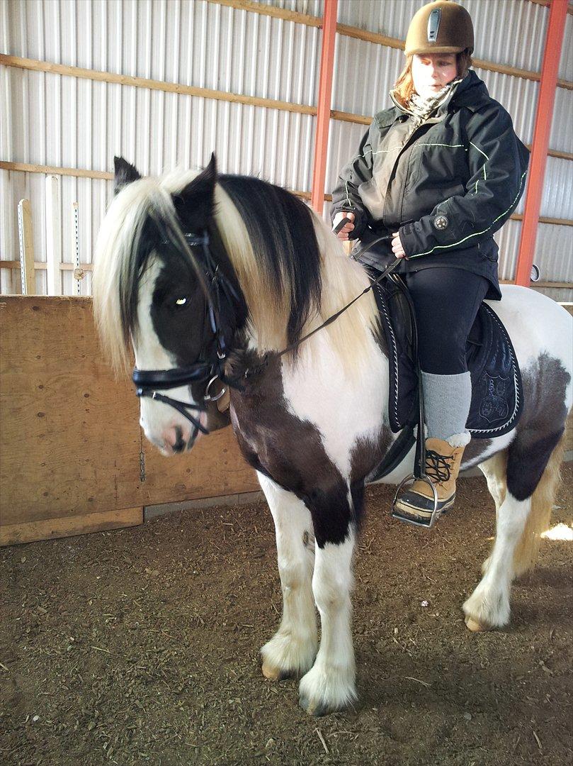 Tinker McCain af Englund billede 4