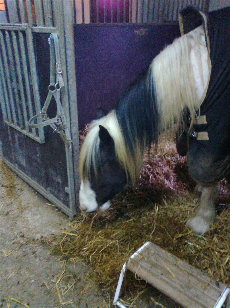 Tinker McCain af Englund billede 5