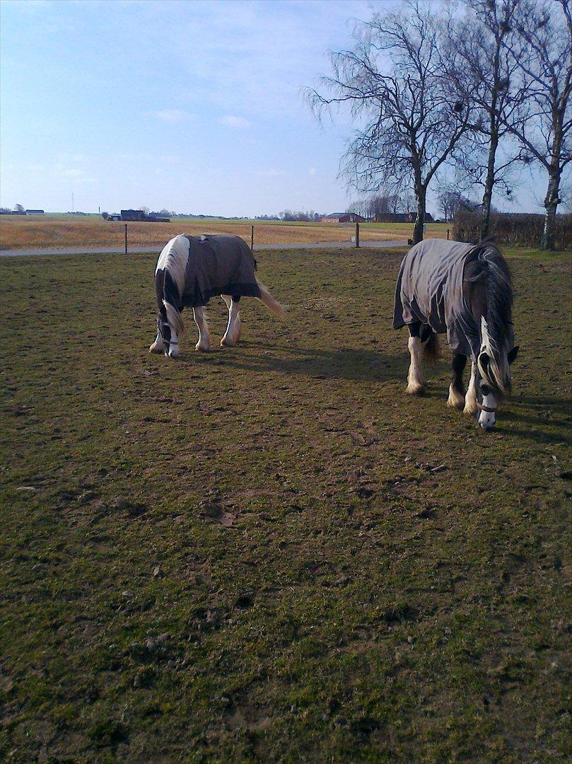 Tinker McCain af Englund billede 8