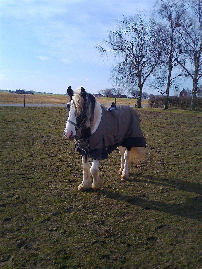 Tinker McCain af Englund billede 9