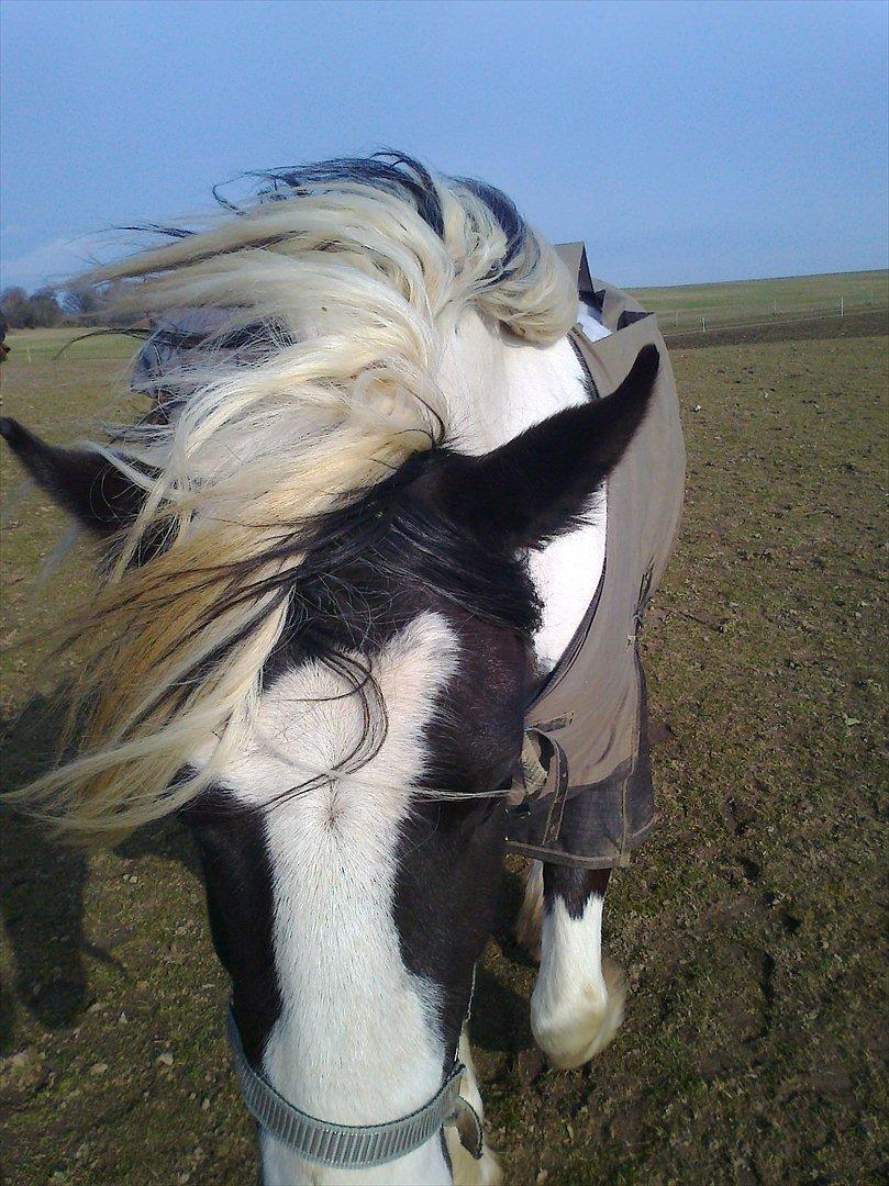 Tinker McCain af Englund billede 11