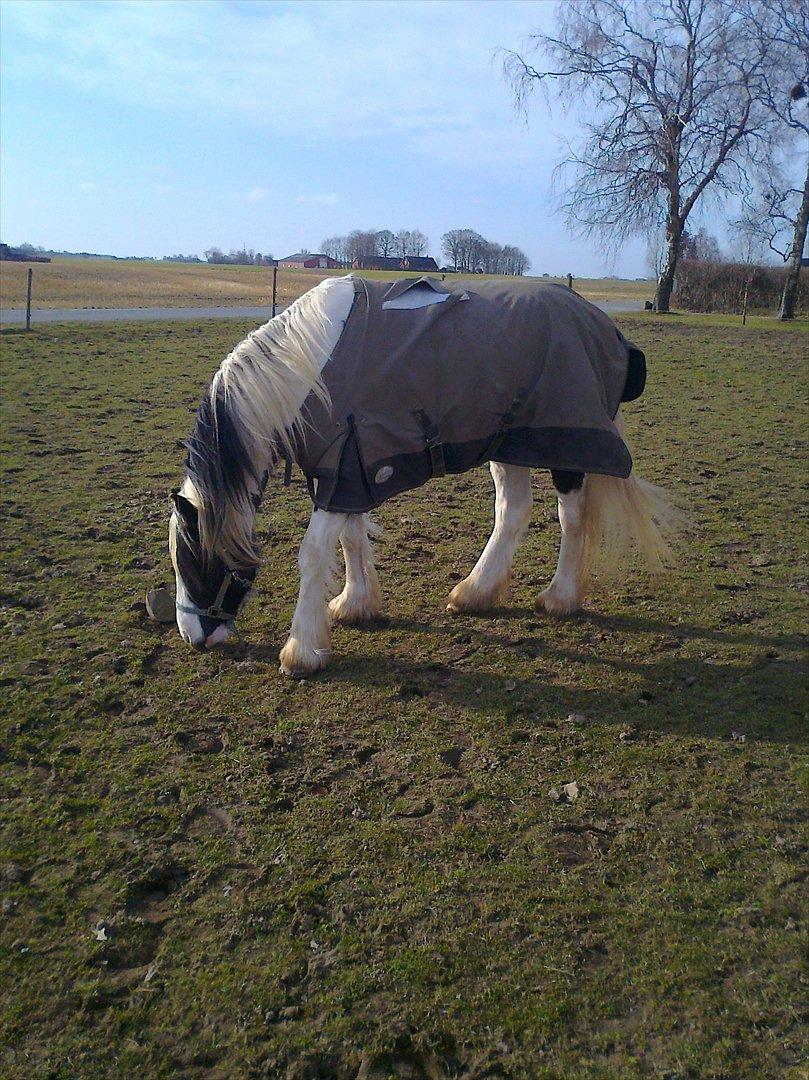 Tinker McCain af Englund billede 12