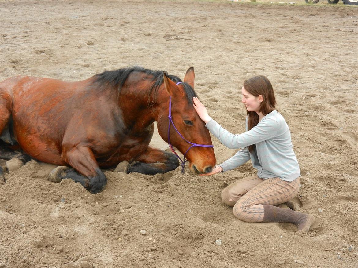 Dansk Varmblod Felicity bbh | Felle <3 - Nr . 4 <3 Foto: Anna Rydell :) 
Åhh, felle jeg elsker dig så ubeskriveligt højt<3 *;  billede 4