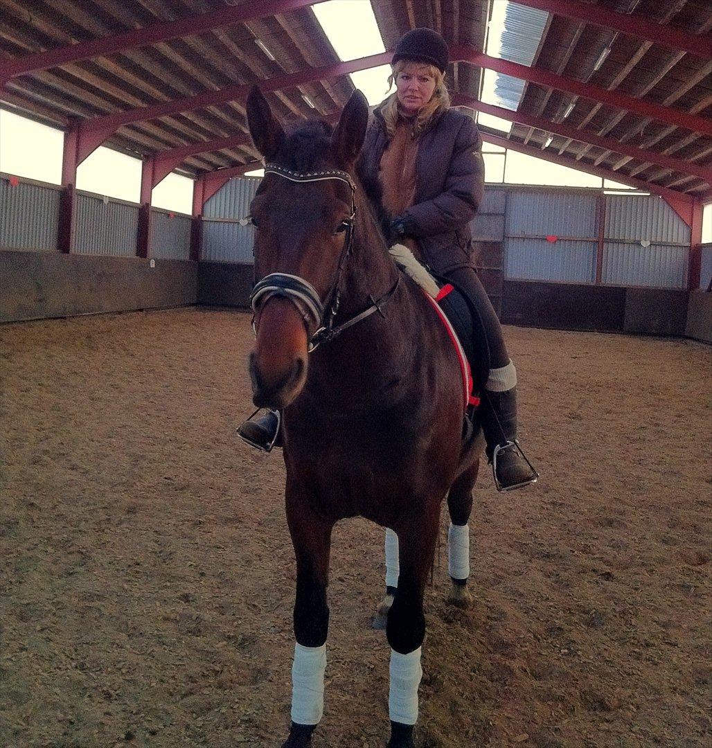 Oldenborg Bellinda Skovlyst billede 3