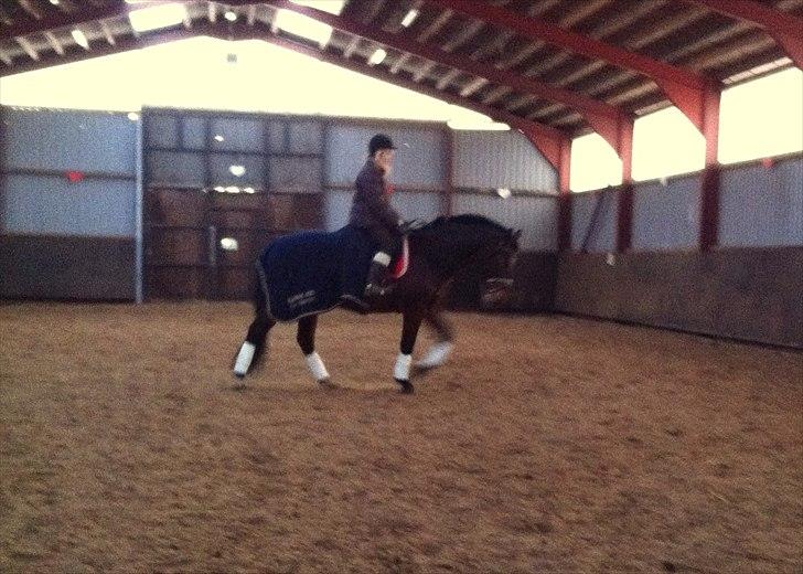 Oldenborg Bellinda Skovlyst billede 5