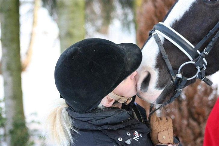 Dansk Varmblod Kastaniegården Charleston - Ingen ord ville nogensinde kunne beskrive min kærlighed til dig <3 billede 9