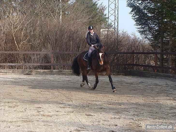 Anden særlig race jamie - tidligere part  billede 6