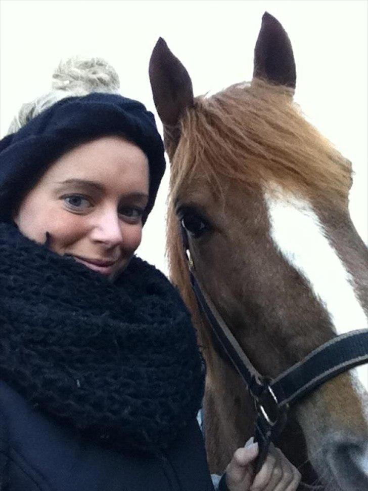 Anden særlig race Low Länder (NU TILBAGE IGEN) billede 5