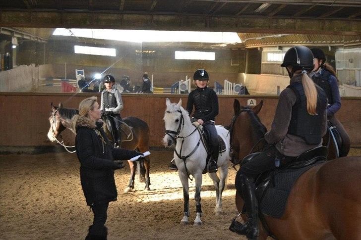 Anden særlig race Tarzan Undercover - Til kursus hos Tina Lund. billede 2