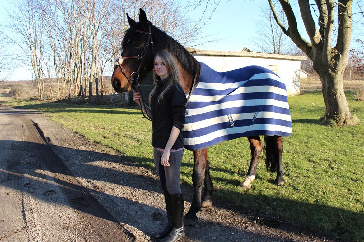 Anden særlig race Kronborgs Athene - hygge med den lille hest forår 2012 billede 12