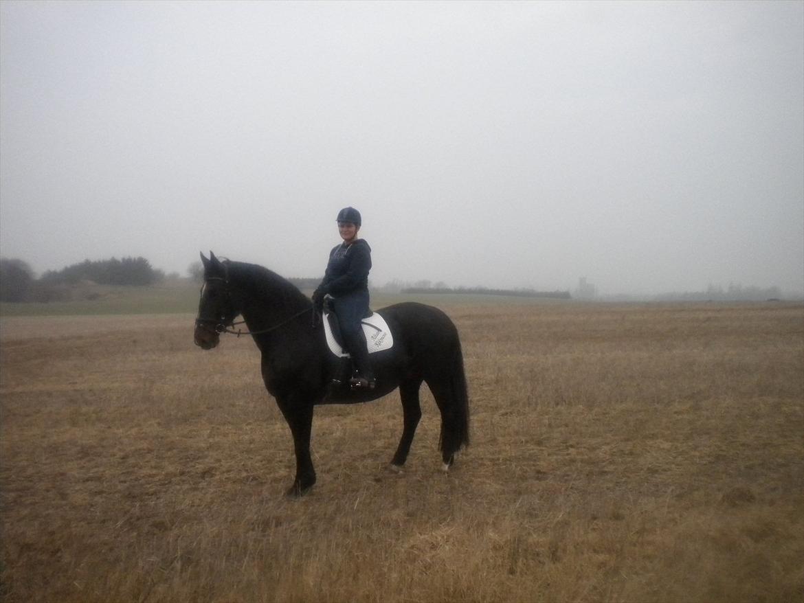 Oldenborg Altair Kikmose billede 8