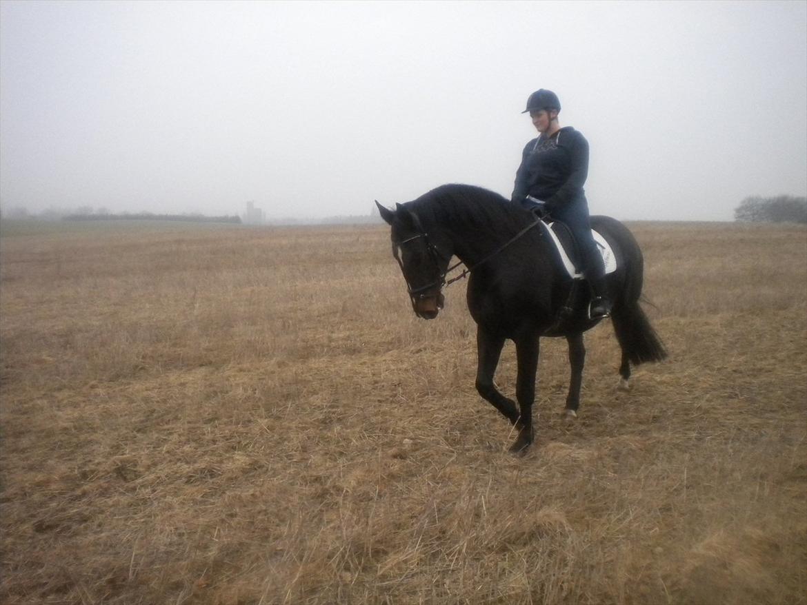 Oldenborg Altair Kikmose billede 9