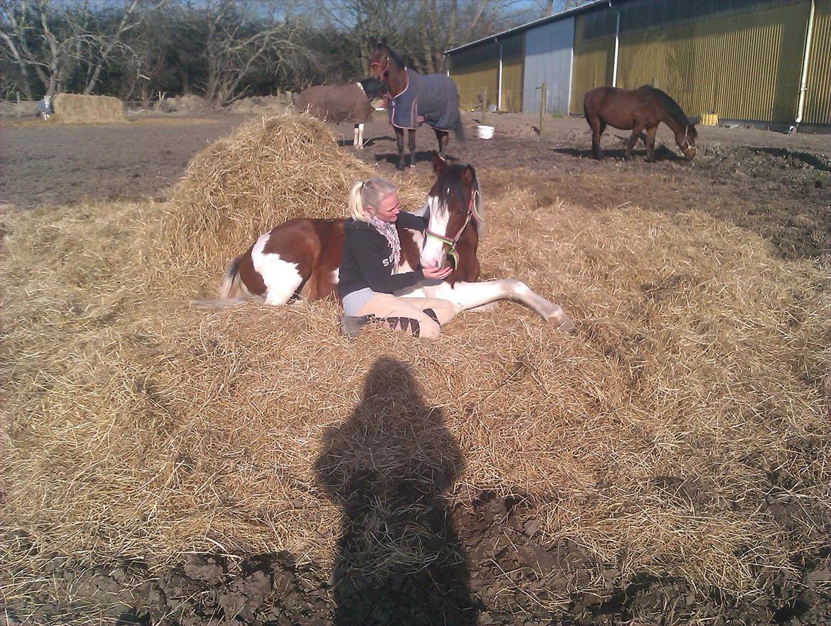 Pinto Malibu Passion - Vi hygger i høet <3 billede 17