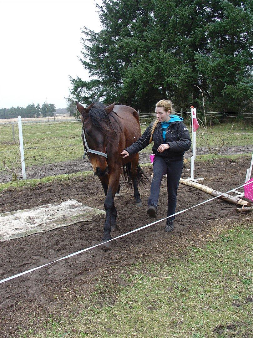 Traver Last Flashlight -  Eespañol ! billede 3